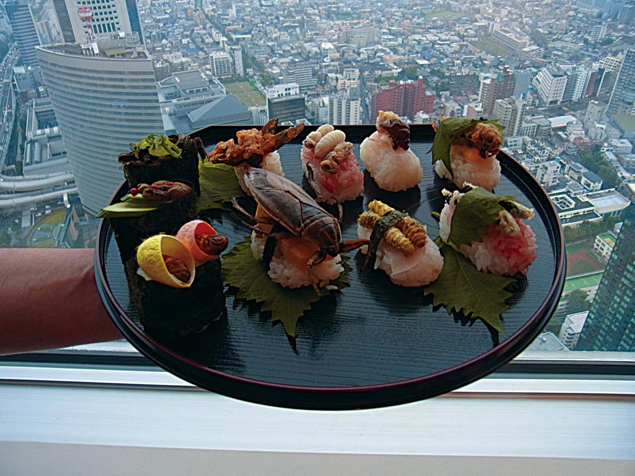 plate sushi topped with insects