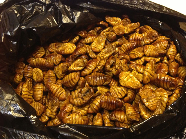 bowl of silk pupae eaten in japan